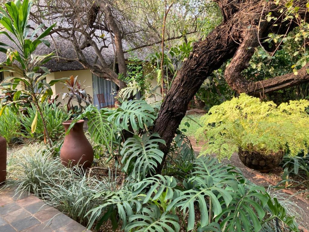 Acasia Guest Lodge Komatipoort Buitenkant foto